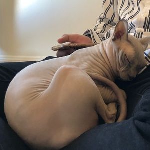 Meet your Posher, Arissala